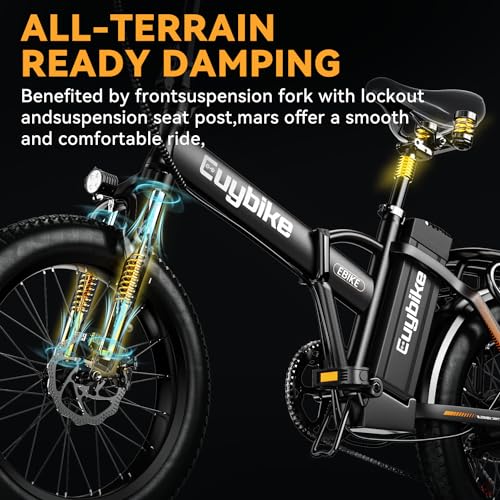 20" Fat Tire 1000W Electric Bike with 48V 20AH Removable Battery M437