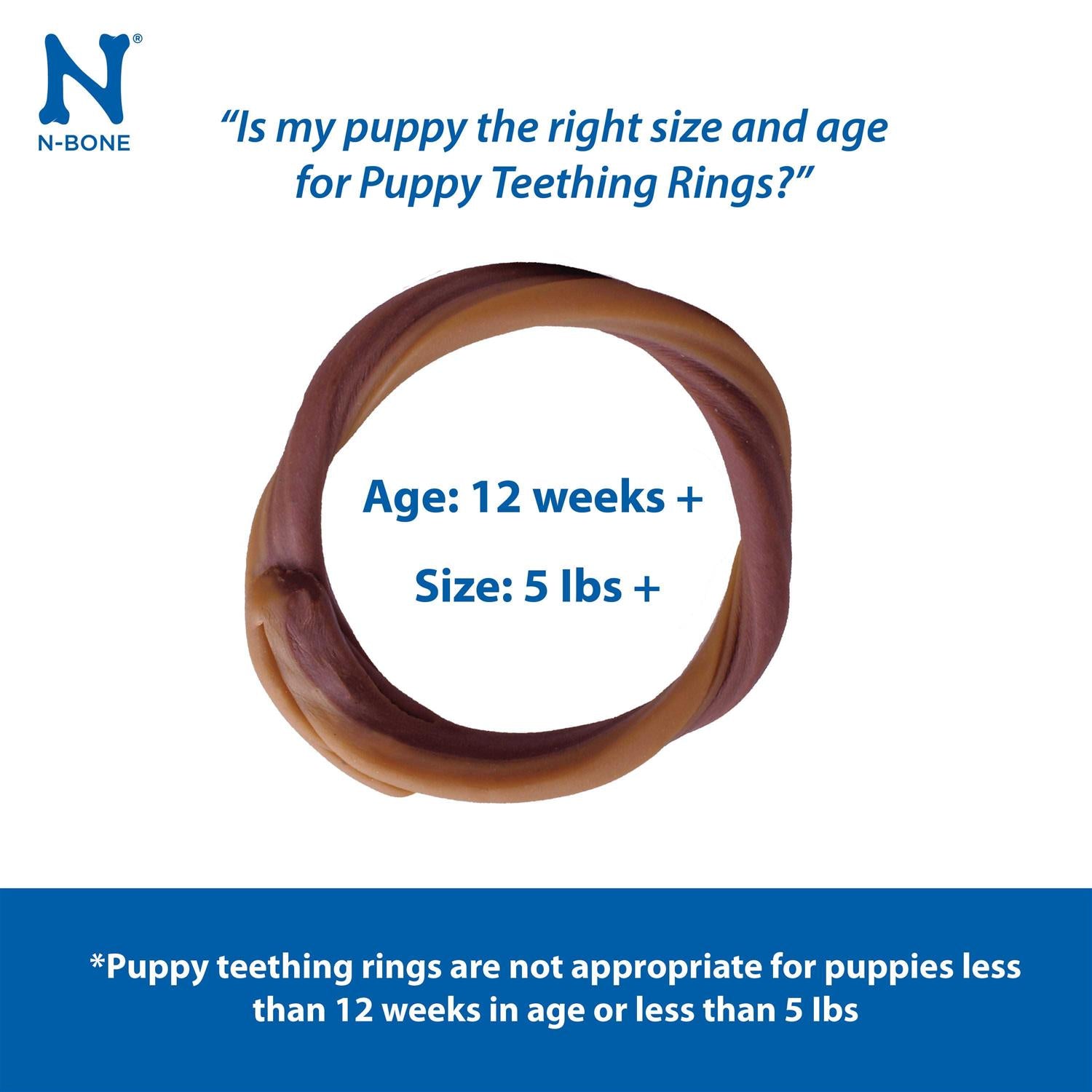 Pumpkin Puppy Teething Ring E79313
