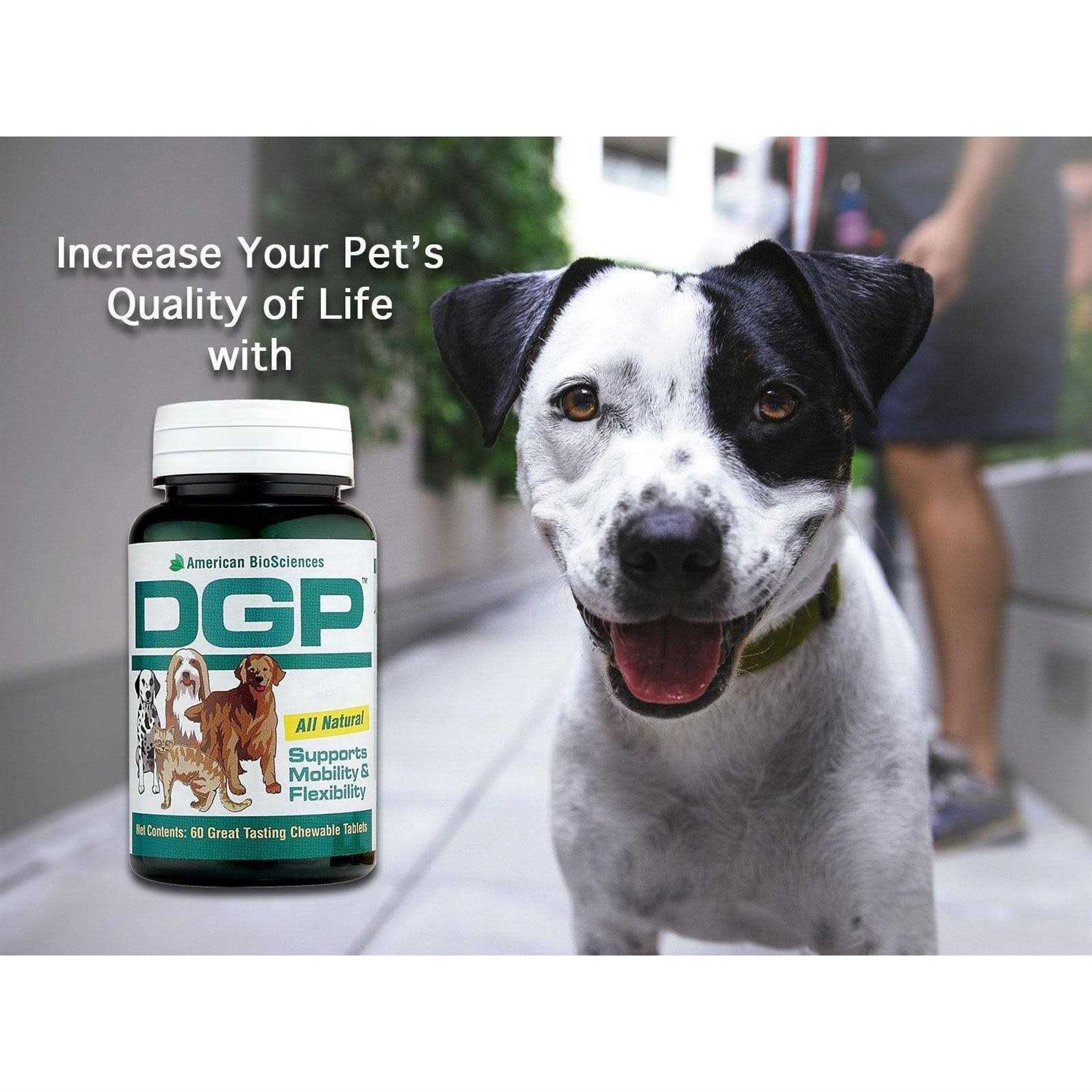 Pet Supplies C398170