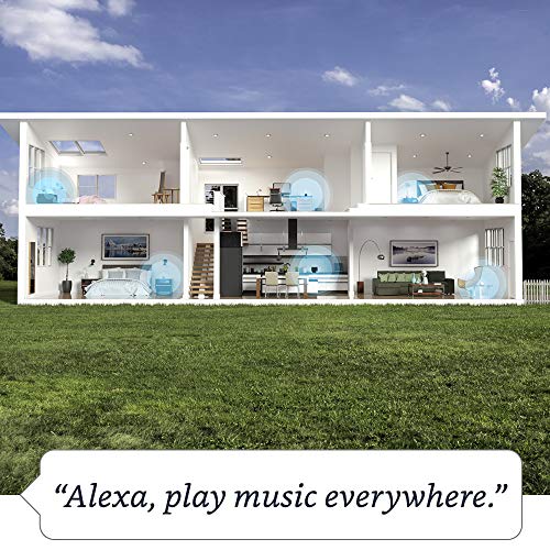 Glacier White Amazon Echo Alexa speaker E605716