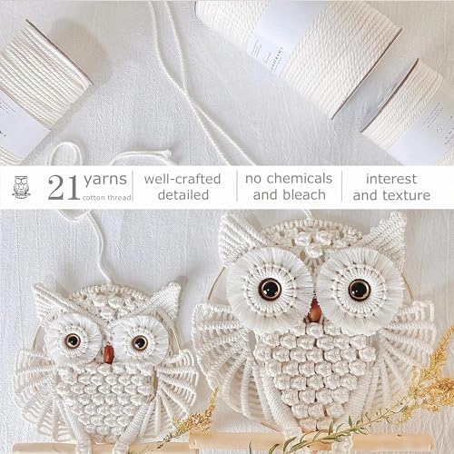 Owl Macrame Wall Hanging Q86023