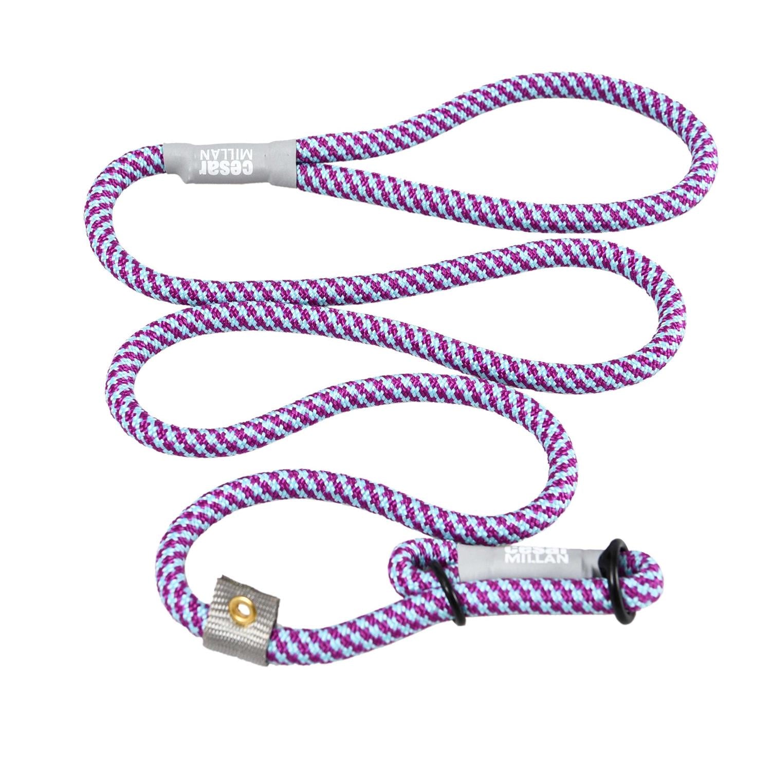 Slip Lead Leash 2-in-1 Dog Training Lead & Collar S43988
