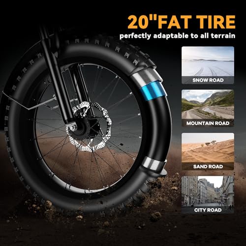20" Fat Tire 1000W Electric Bike with 48V 20AH Removable Battery M437