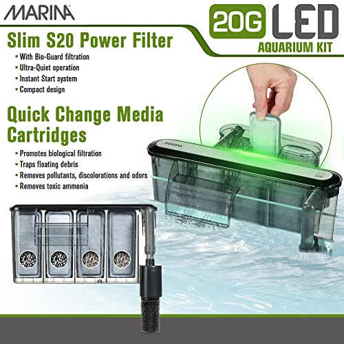 5 Gallon LED Aquarium Kit J976521