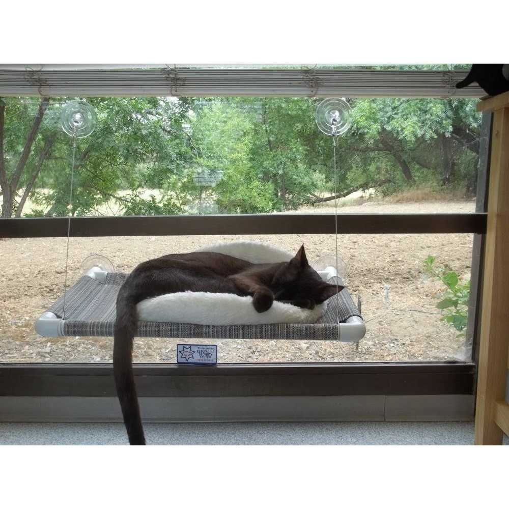 Cat Perch Y39248