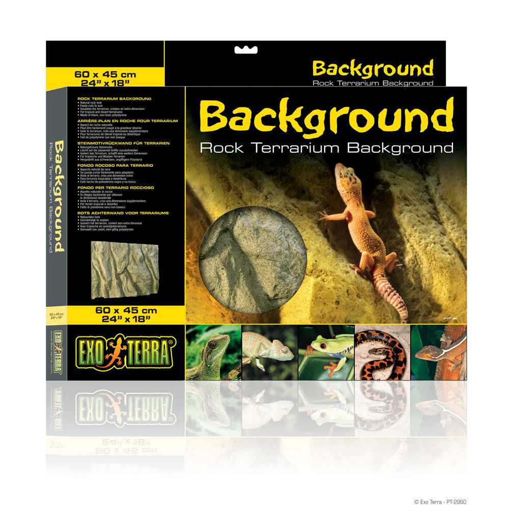 Rock Terrarium Background H712