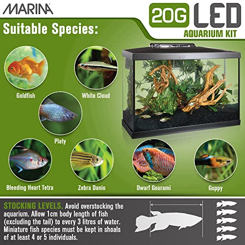 5 Gallon LED Aquarium Kit J976521