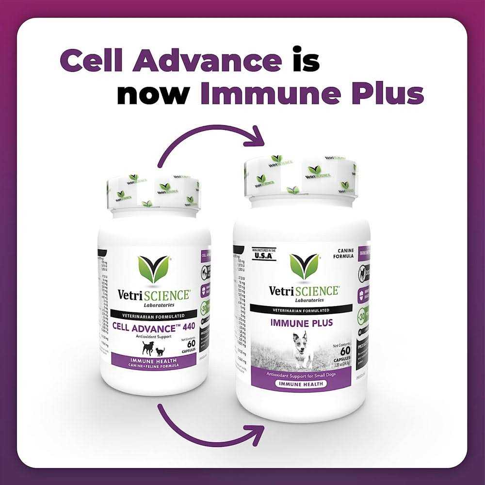 Immune Plus for Small Dogs Y12497