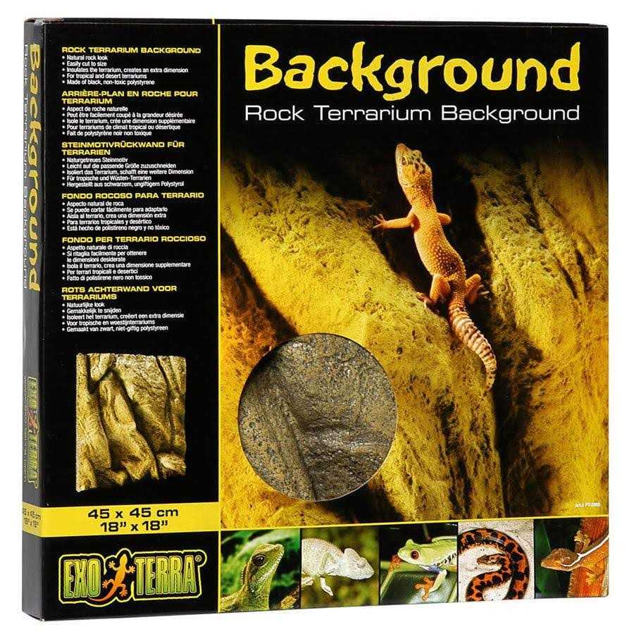 Rock Terrarium Background H712