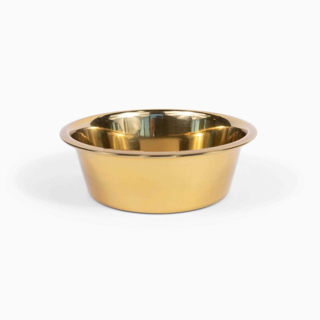 Acrylic Double Bowl Elevated Pet Feeder R312