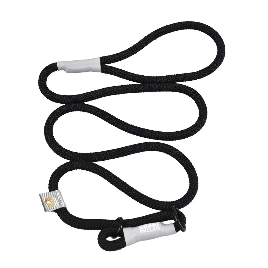 Slip Lead Leash 2-in-1 Dog Training Lead & Collar S43988