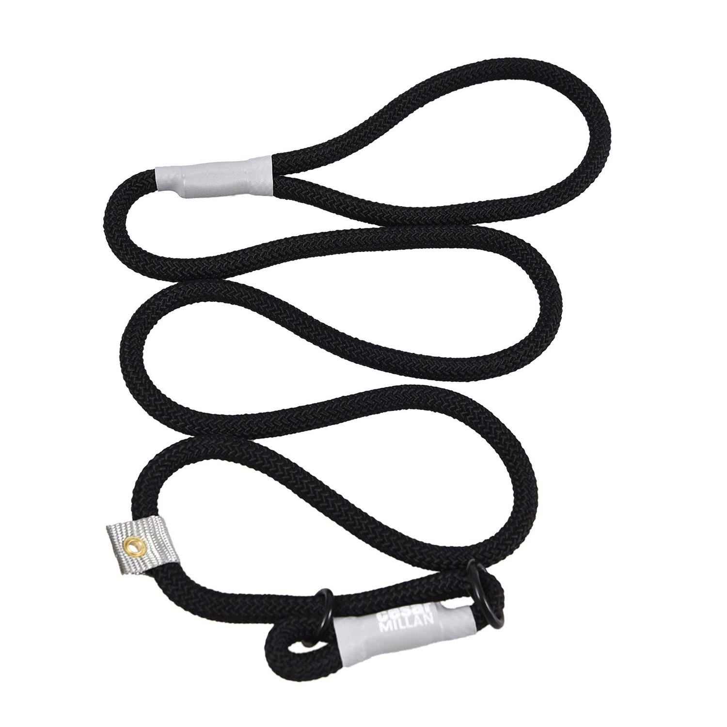 Slip Lead Leash 2-in-1 Dog Training Lead & Collar S43988