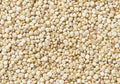 White Quinoa Grains R181
