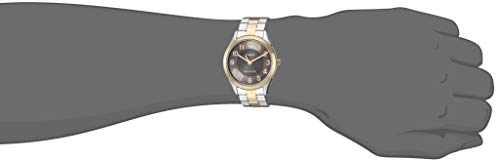 Men's Briarwood Watch C555