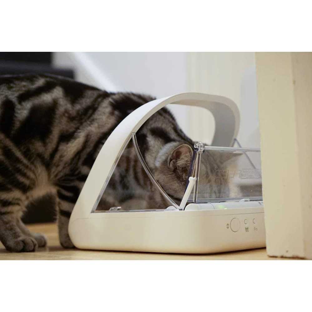 Microchip Pet Feeder X901747