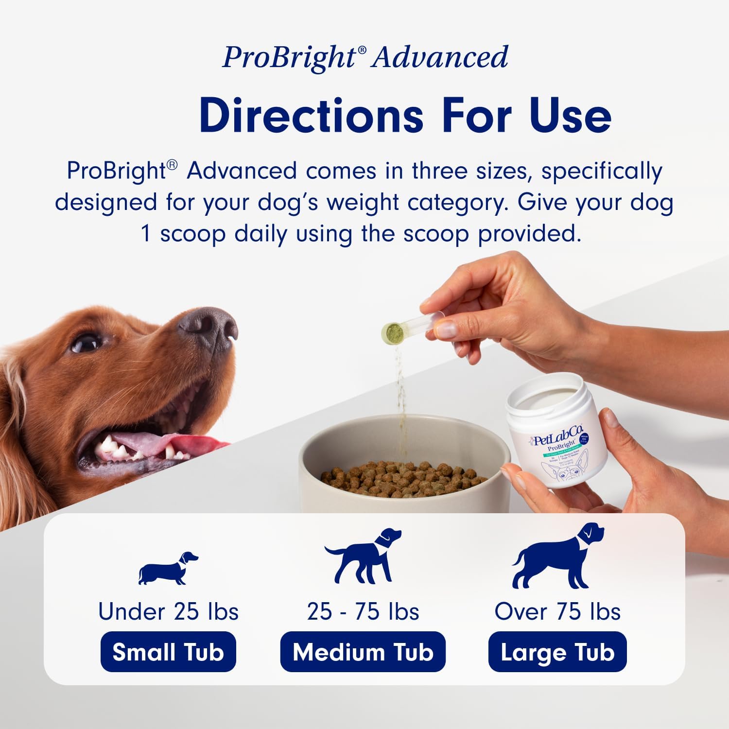 Gut & Breath Bundle: Dental Powder for Fresh Breath, Salmon Dog Probiotics F7126