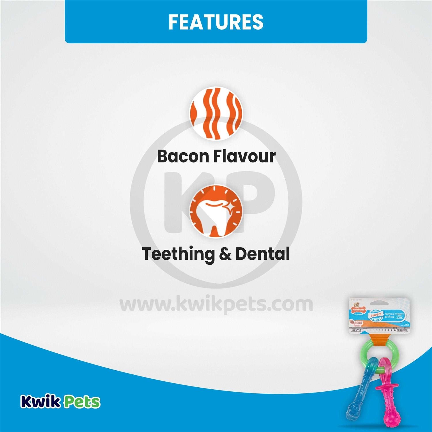 Puppy Chew Teething Pacifier V2395