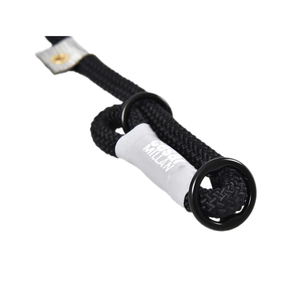 Slip Lead Leash 2-in-1 Dog Training Lead & Collar S43988