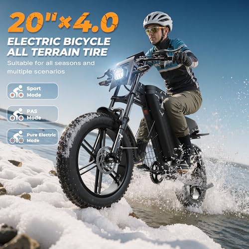 Electric Bike 48V 31.5Ah Battery 20" Fat Tires 7-Speed O540