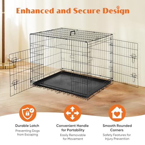 Large 36 Inch Double Door Folding Metal Wire Dog Crate with Divider Panel and Plastic Leak-Proof Pan Tray P323