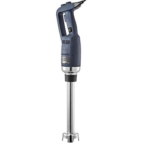 350W 304 Stainless Steel Immersion Blender C333