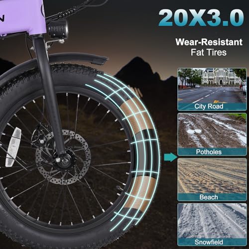 20"×3.0 Fat Tire Folding Electric Bike with 374.4Wh Battery F81545