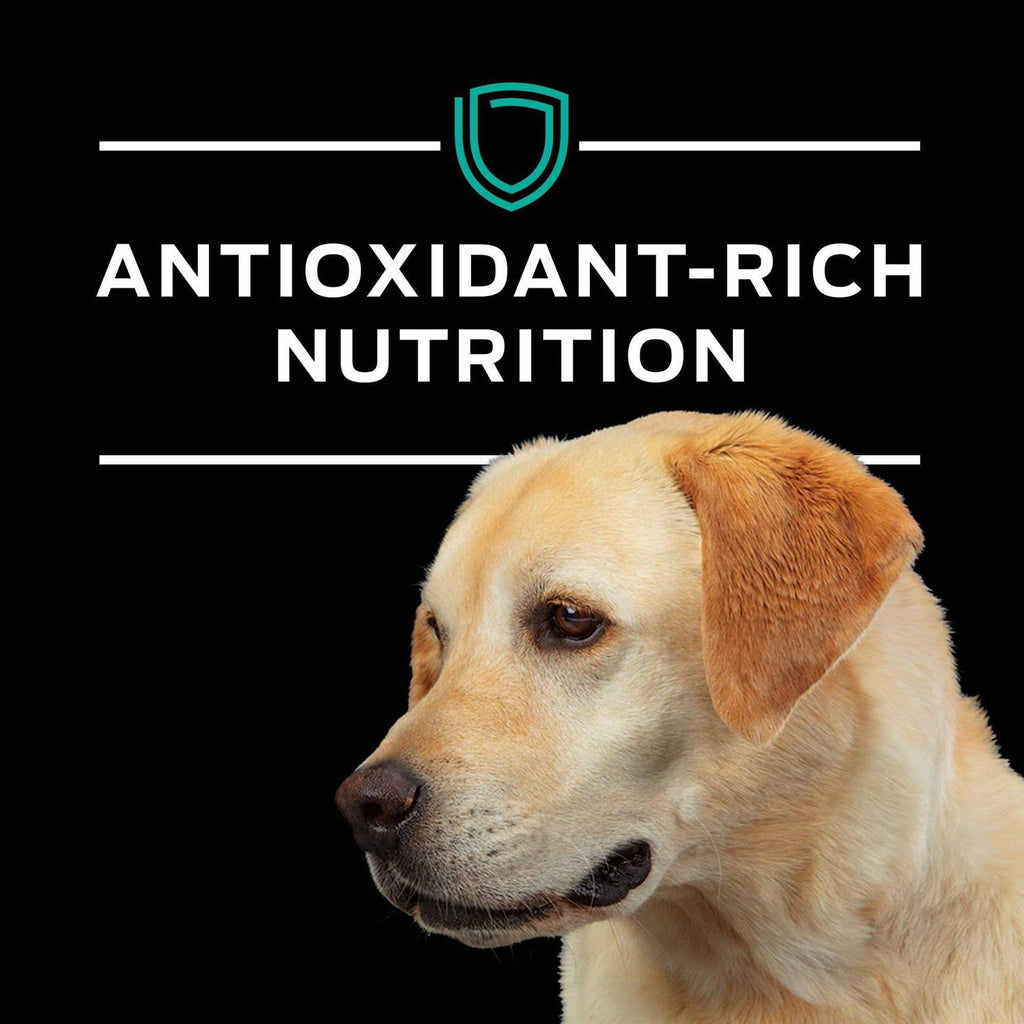 EN Gastroenteric Formula Dry Dog Food F642