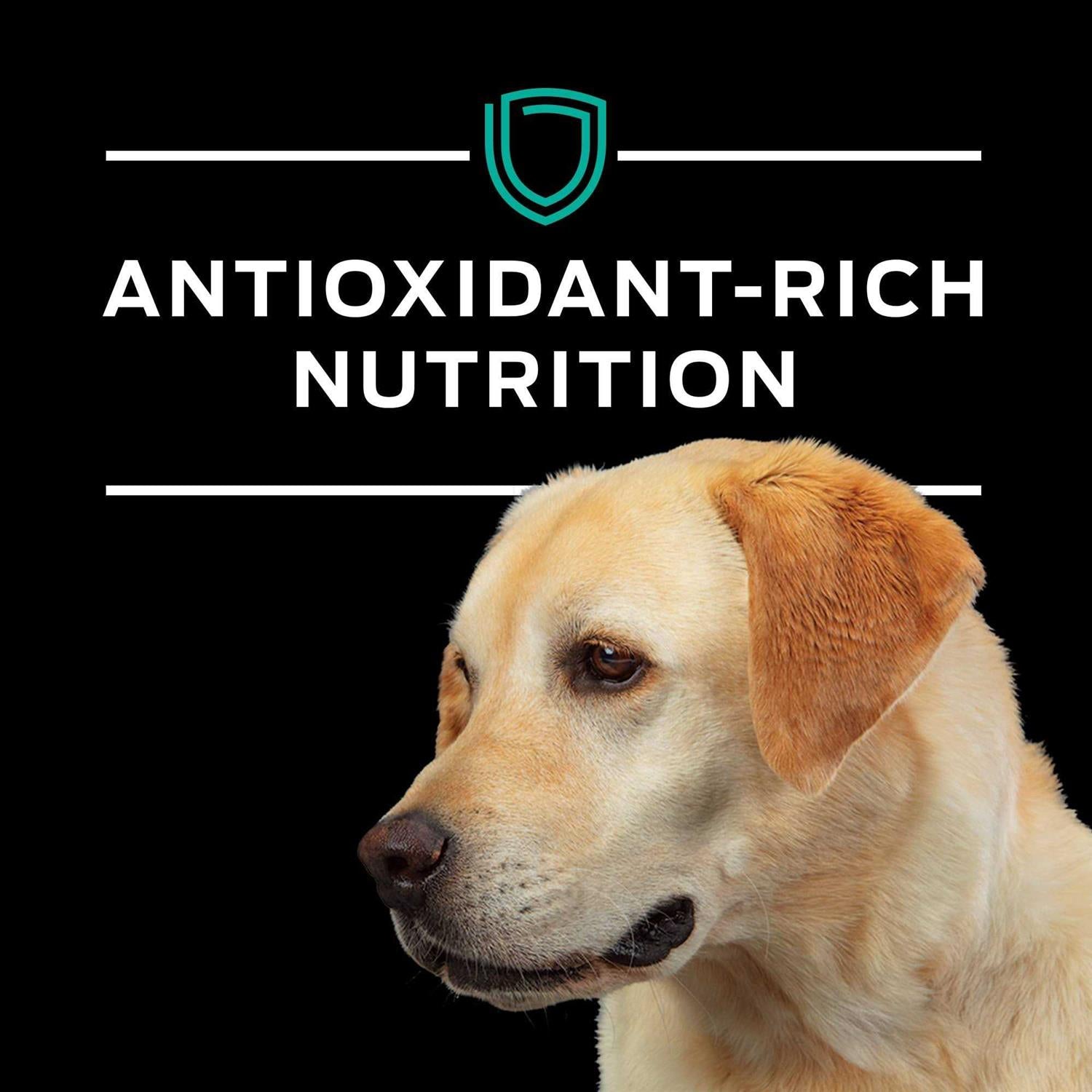 EN Gastroenteric Formula Dry Dog Food F642