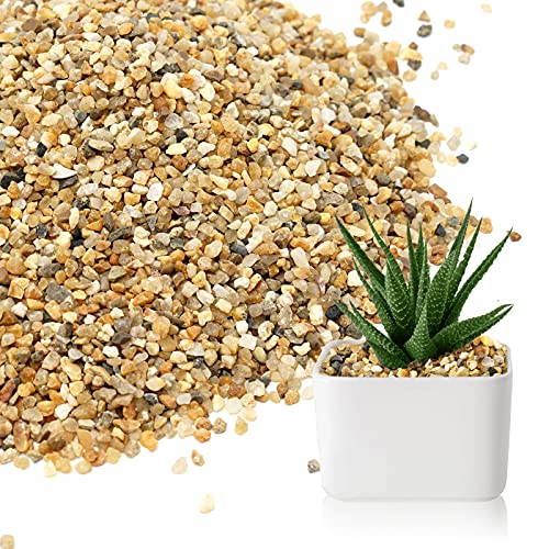 5 lb Coarse Sand Stone Decorative Gravel X284822