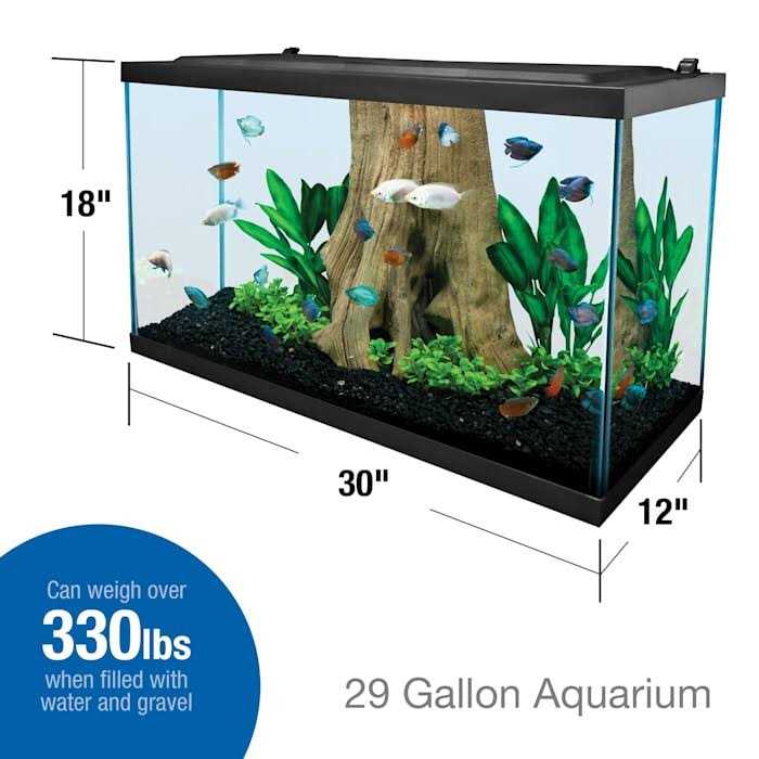 29 Gallon Glass Aquarium R6474