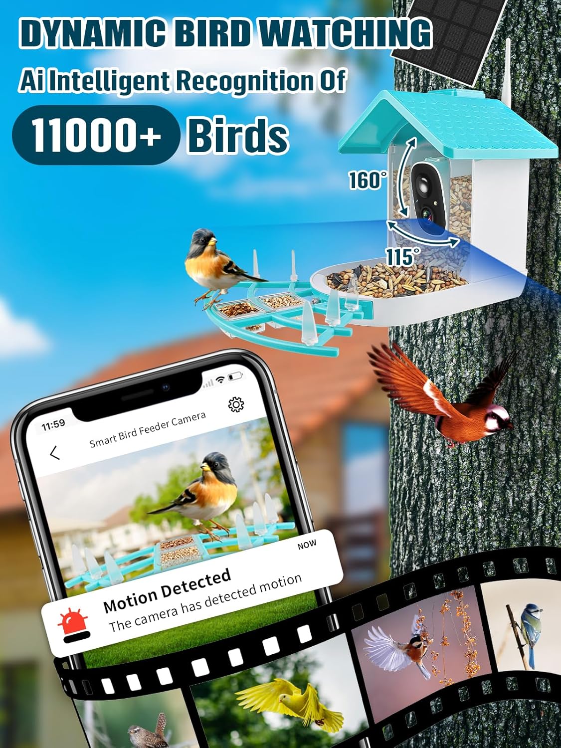 Smart Bird Feeder with Camera, Solar Powered Dual Charge 1080P HD Video AI Identify Bird Feeders L260428