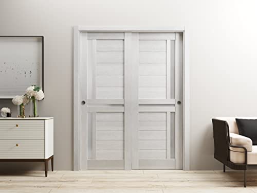 White Silk Sliding Closet Bypass Doors 56 x 80 inches with Frosted Glass N362413