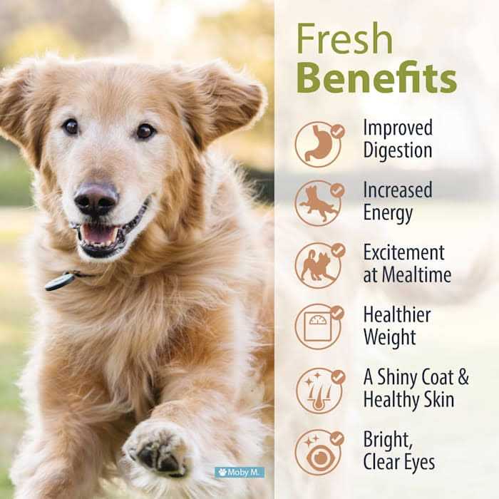 Balanced Remedy Frozen Dog Food J864636