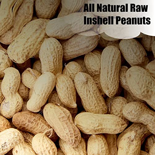 Wildlife Shelled Peanuts, 10 lbs U958