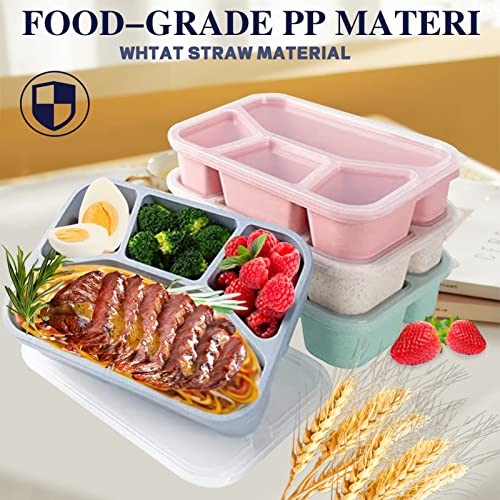 8 Pack Wheat Straw Bento Lunch Containers P419152