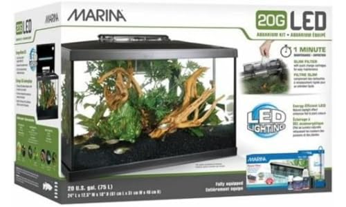 5 Gallon LED Aquarium Kit J976521