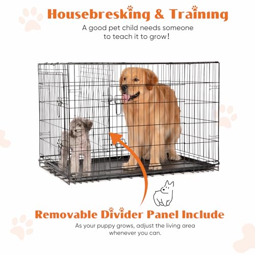 Large 36 Inch Double Door Folding Metal Wire Dog Crate with Divider Panel and Plastic Leak-Proof Pan Tray P323