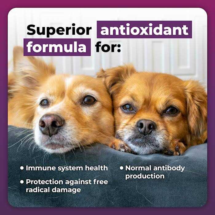 Immune Plus for Small Dogs Y12497