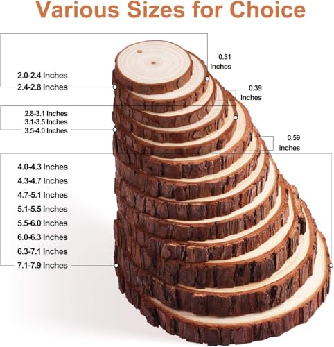 30 Pcs 2.4-2.8 Inches Natural Wood Slices G897