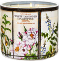 White Lavender Eucalyptus 3 Wick Candle 14.5 oz D5537