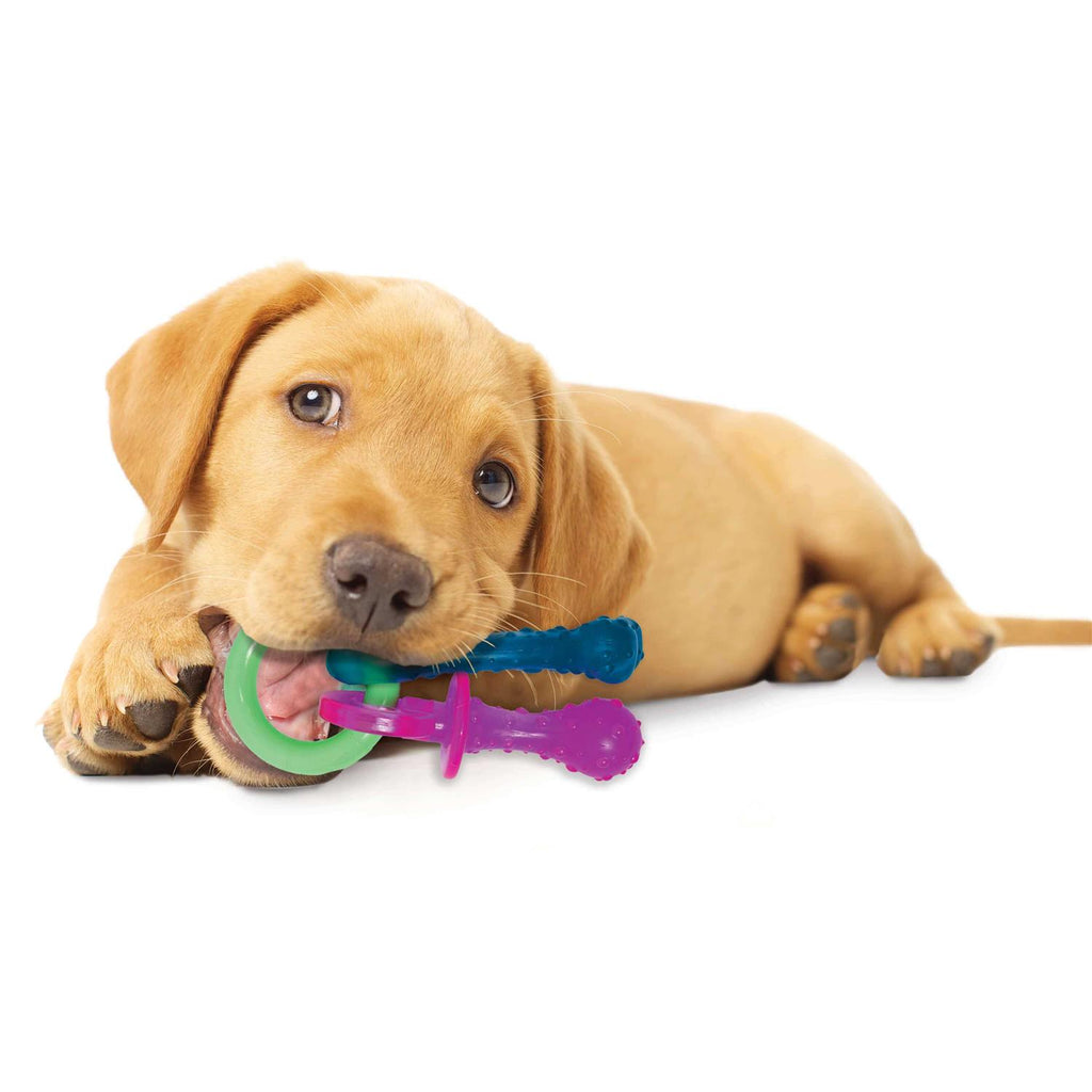 Puppy Chew Teething Pacifier V2395