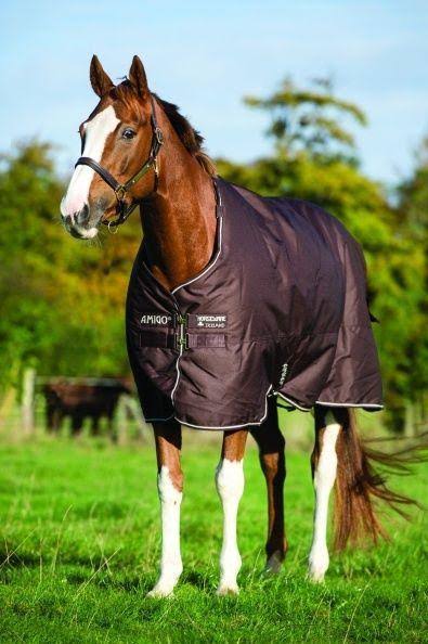 12 Turnout Sheet U41778