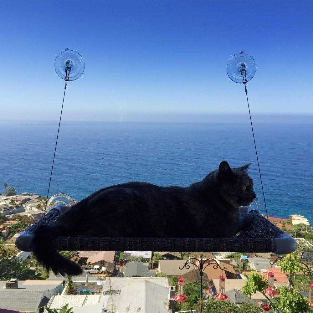 Cat Perch Y39248