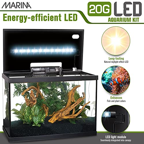 5 Gallon LED Aquarium Kit J976521