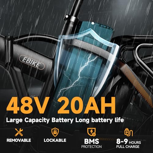 20" Fat Tire 1000W Electric Bike with 48V 20AH Removable Battery M437