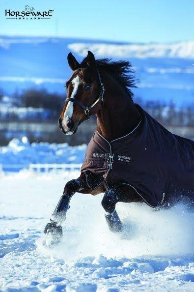 12 Turnout Sheet U41778