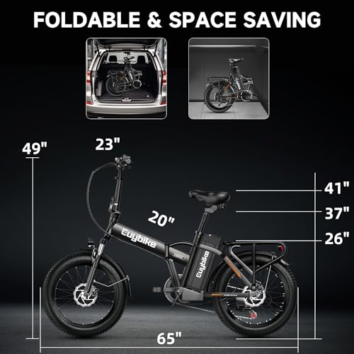 20" Fat Tire 1000W Electric Bike with 48V 20AH Removable Battery M437