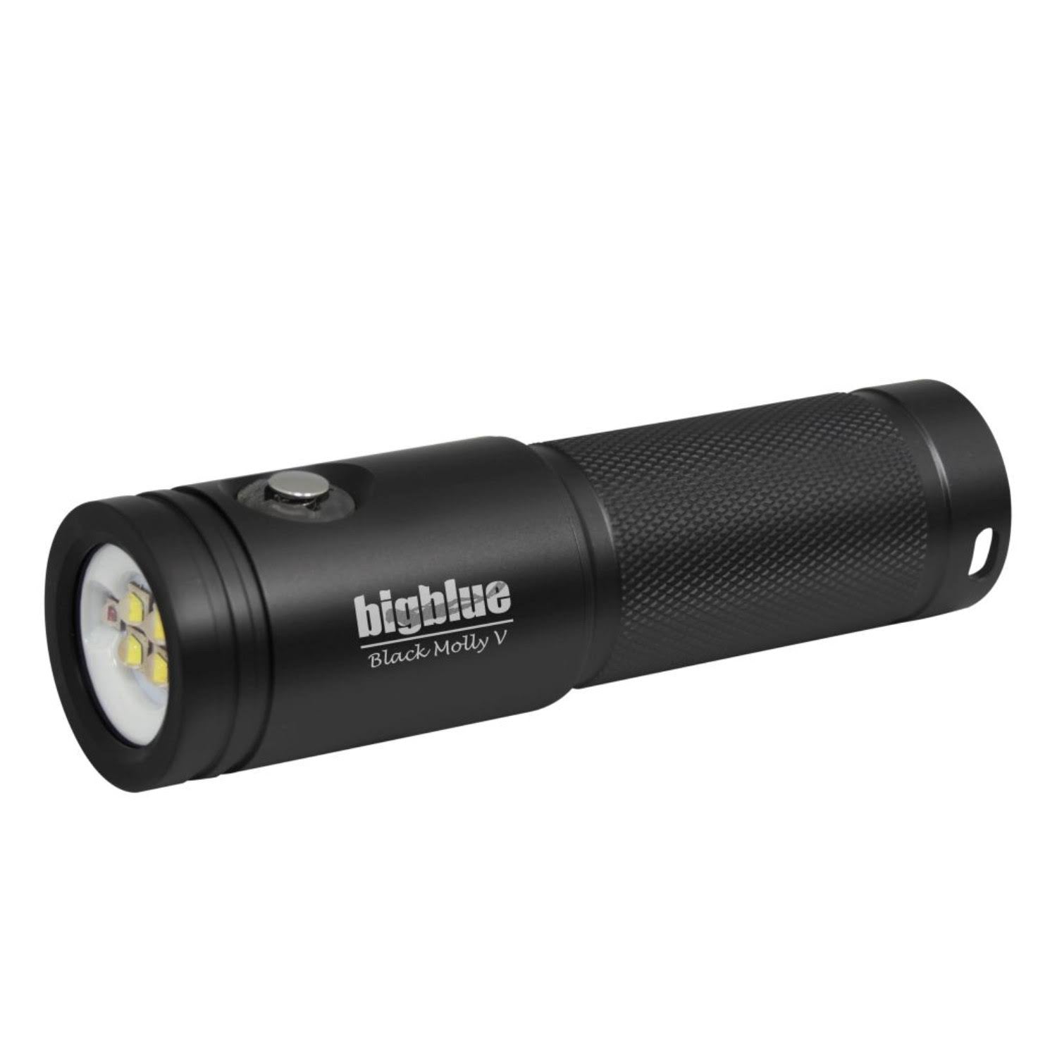2600 Lumen Extra-Wide Beam LED Dive Light Black Z59136
