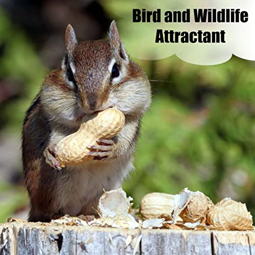 Wildlife Shelled Peanuts, 10 lbs U958