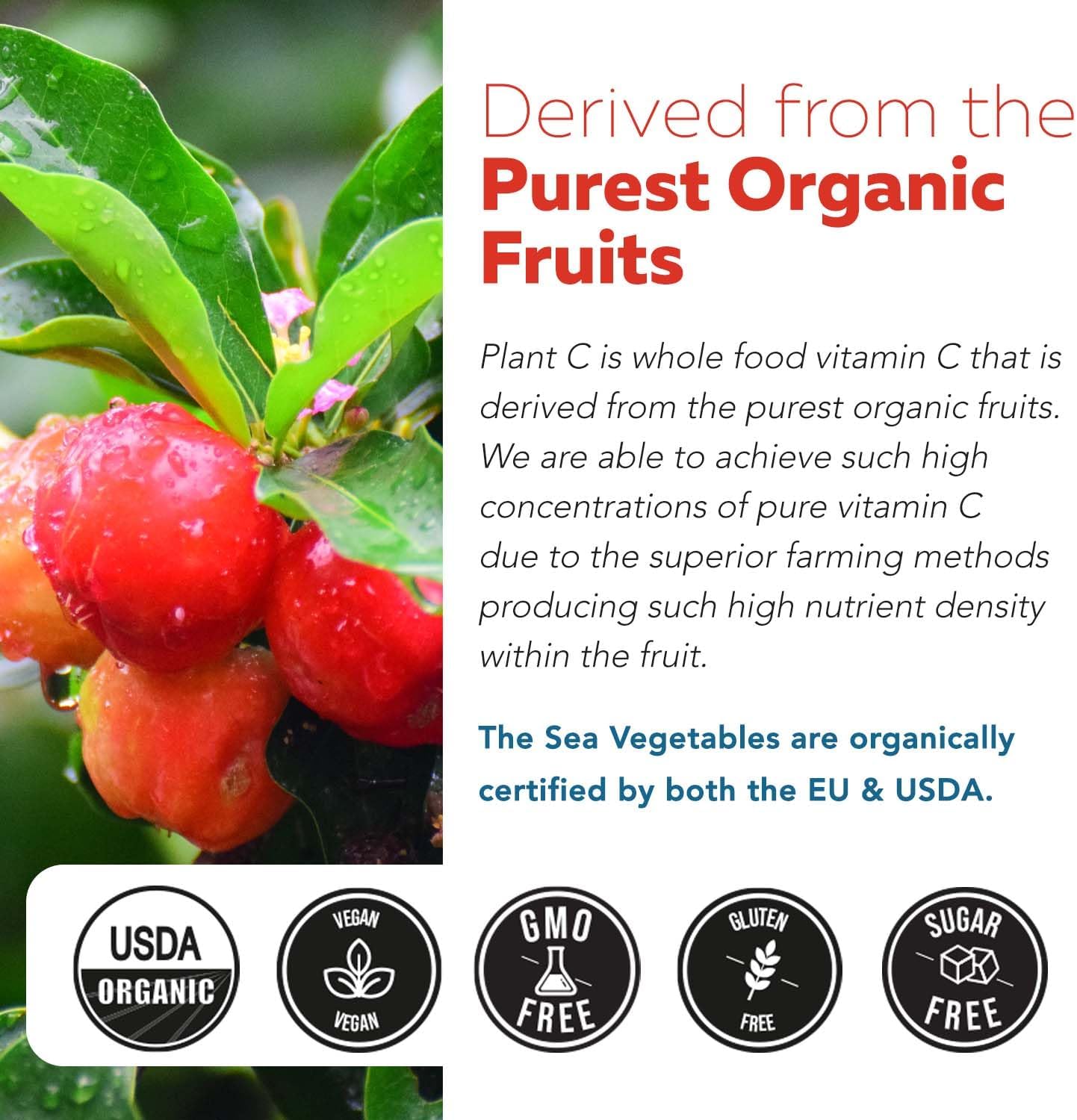 Organic Vitamin C from Fruit, 90 Servings M764